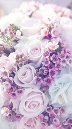 18일 21시 K님🍊