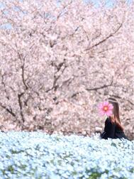 🌸 4월 시작