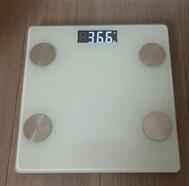 37kg 약