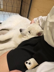퇴근!