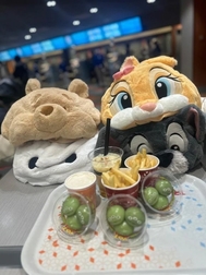 🌱 다시 가고 싶어요 🌱