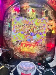 🌱 전혀 업데이트하지 않았기 때문에 🌱