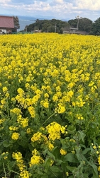 휴가를 즐겼다 🏝️🌼