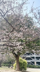 치유하러 왔으면 좋겠어 🫧🌸