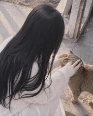 내세는 고양이 짱