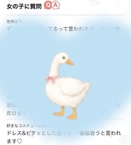 더 보기💛