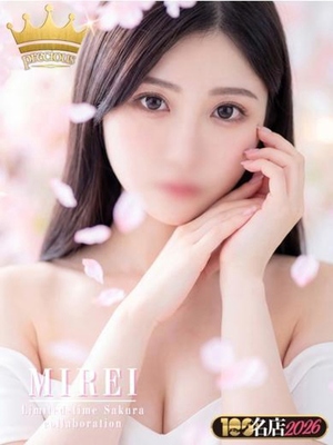 미레이｜Precious対応