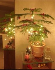 안녕하세요 ☀️