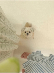 안녕하세요 ☀️