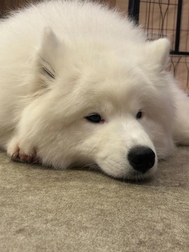 치유를 즐길 수 ♡