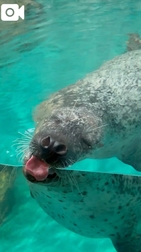 좋아하는 동영상