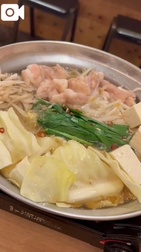 모두들 스키 ♡