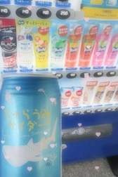 좋은 아침 ☀️