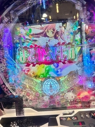 🌱마도마기🌱