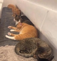 🌱 신경이 쓰이는 영화 🌱