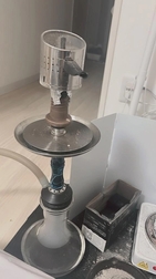 🌱 일찍 일어나 (당사비) 🌱