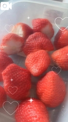 🌱 재밌어요 🌱