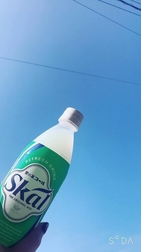 🌱 지금까지 🌱