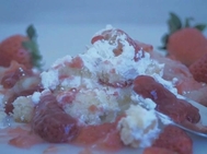 🌱 디지털 해독 🌱