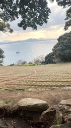 쉬는 날, 뭐하고 있다고 생각하니? ☺️