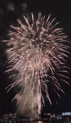 휴일 만끽🎆✨️