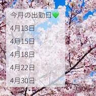 달리기로 벚꽃을 찍는 것이 실현되었습니다.