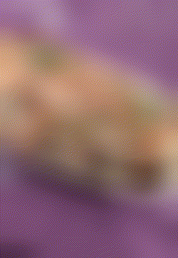 🐙( '-' 🐙 )타코짱