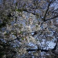 이번 주에도 💕