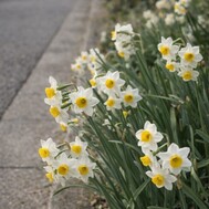 아침 쁘띠 행복🕊𓈒𓏸︎︎︎︎