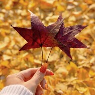 𝕋𝕙𝕒𝕟𝕜 𝕪𝕠𝕦 ❤︎"