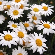 시간의 빨리🚀💨