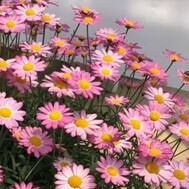 좋은 아침 ☀️