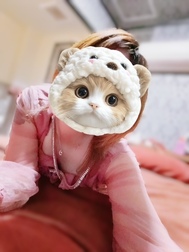 (ﾟωωﾟ)노모닌