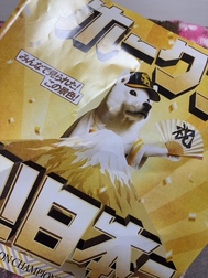 시즌 오프 중 보내는 방법에 대해