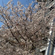 ⟡.*감사합니다.ᐟ.ᐟ💓⟡.*