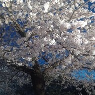 노래 때문에 ~! !