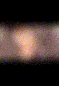 불꽃 놀이,, 보지 않는다 ⁇