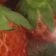 오늘 한정 미토 출근입니다‼ ️