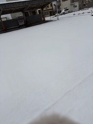 발자국을 붙이고 싶어 🐾