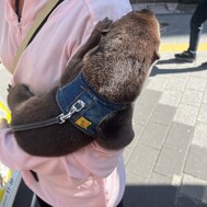 마지막 사람 테두리! ️