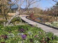 4월 후반의 예정☆