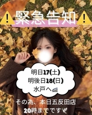 ⚠️긴급 공지⚠️