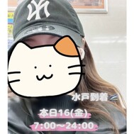 미토에서 이틀 동안 잘 부탁드립니다 🤍