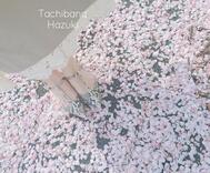 흩어지는 것을 괴롭히지 않는 '결함'