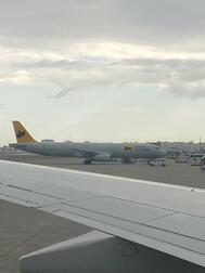 귀여운 발견💡