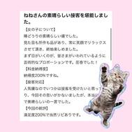 감사합니다📨♡