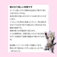 언제나 감사합니다 📨♡