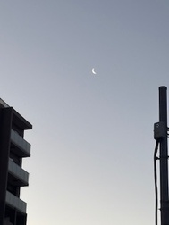 출근했습니다 ❣️