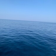 자연스럽고 놀라운 👏