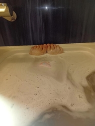 준비🛀